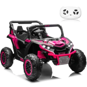 24V 800W Remote-Control UTV, 2-Seat Design Storage